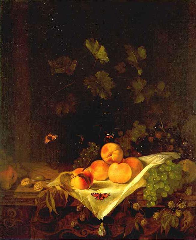 CALRAET, Abraham van Still-life with Peaches and Grapes Norge oil painting art